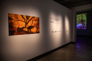 NorthSit Contemporary Arts Gallery